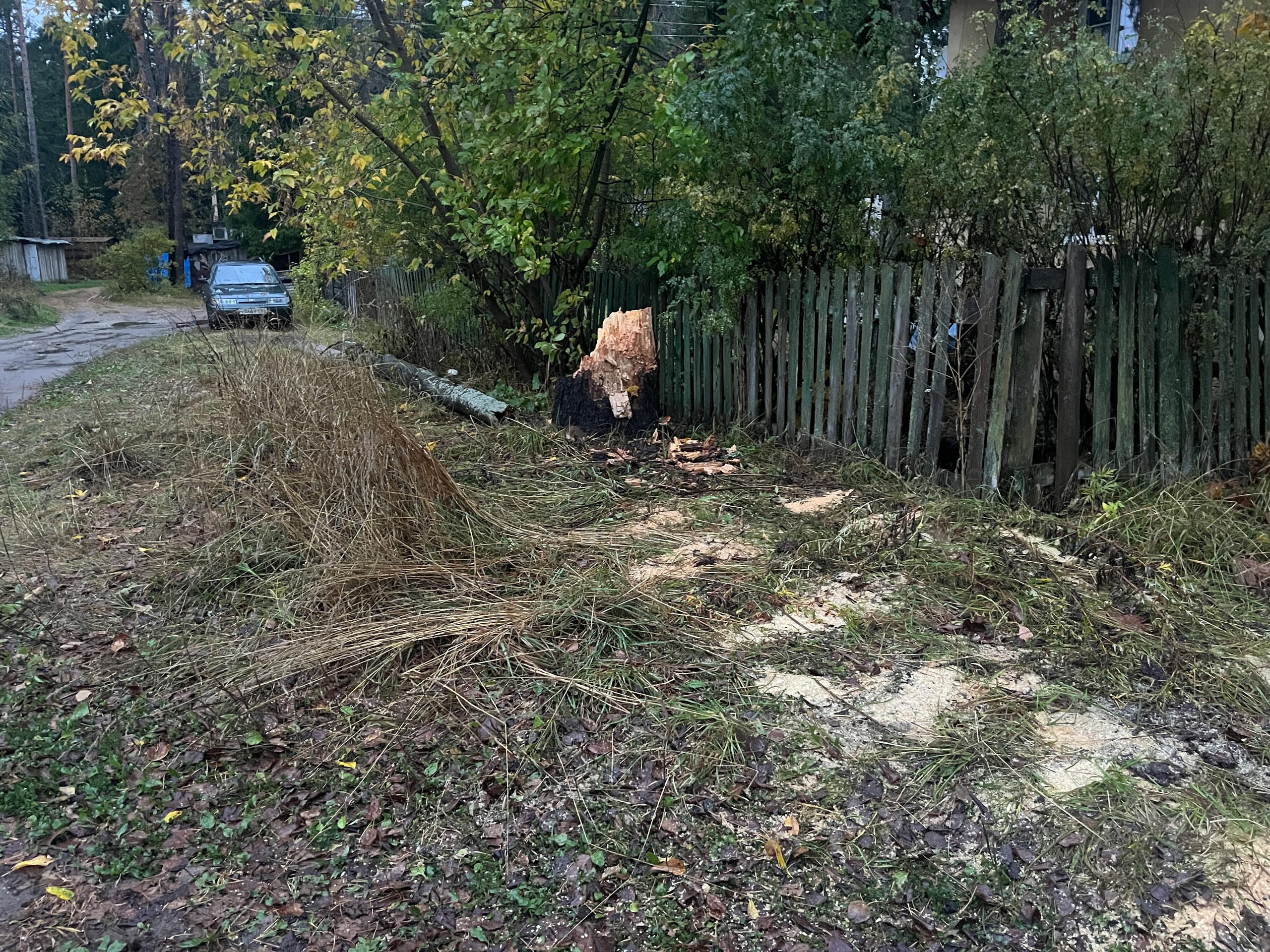 Фото: Госавтоинспекция города Кимры