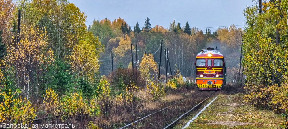 Фото: дзен-канал «Заповѣдная магистраль»