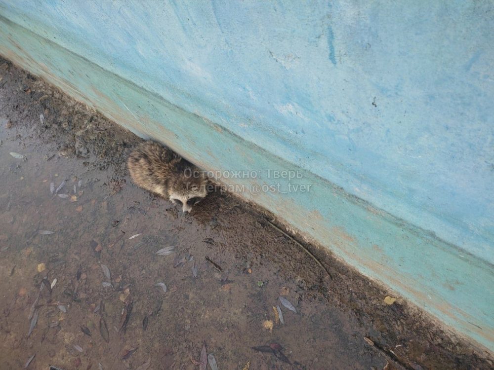 Фото: ВК-сообщество 