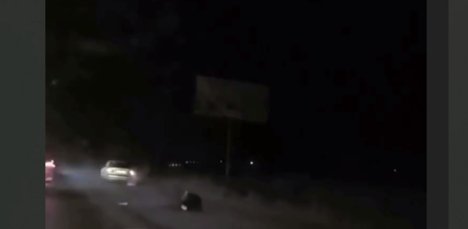 фото: скрин с видео очевидца