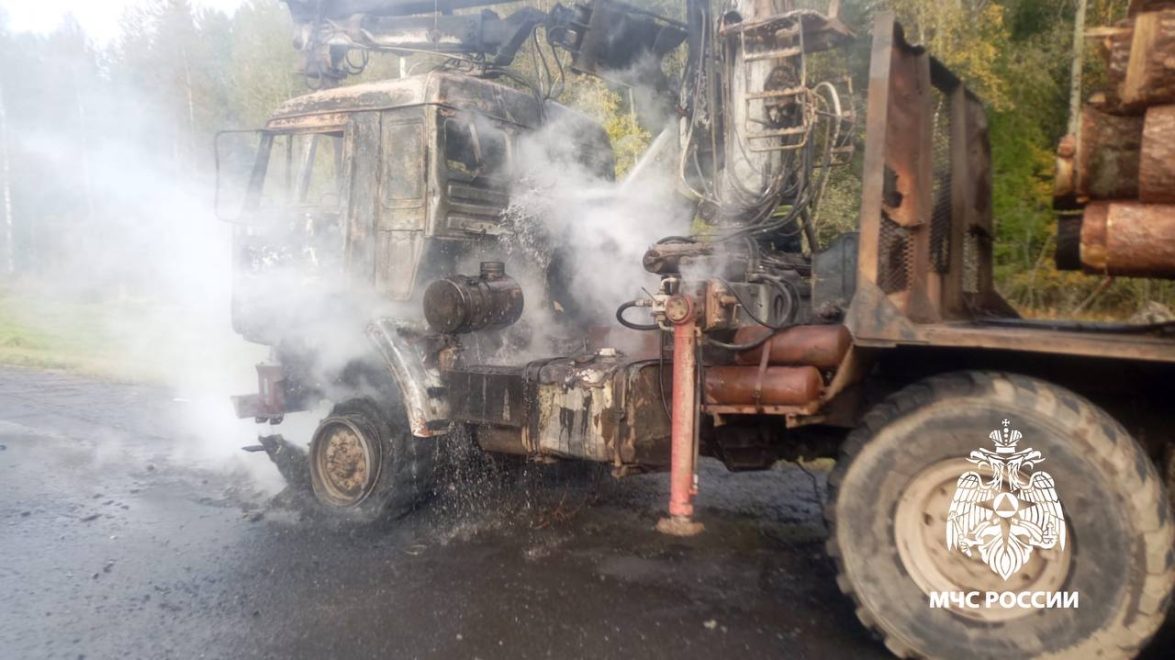 Фото: региональное МЧС