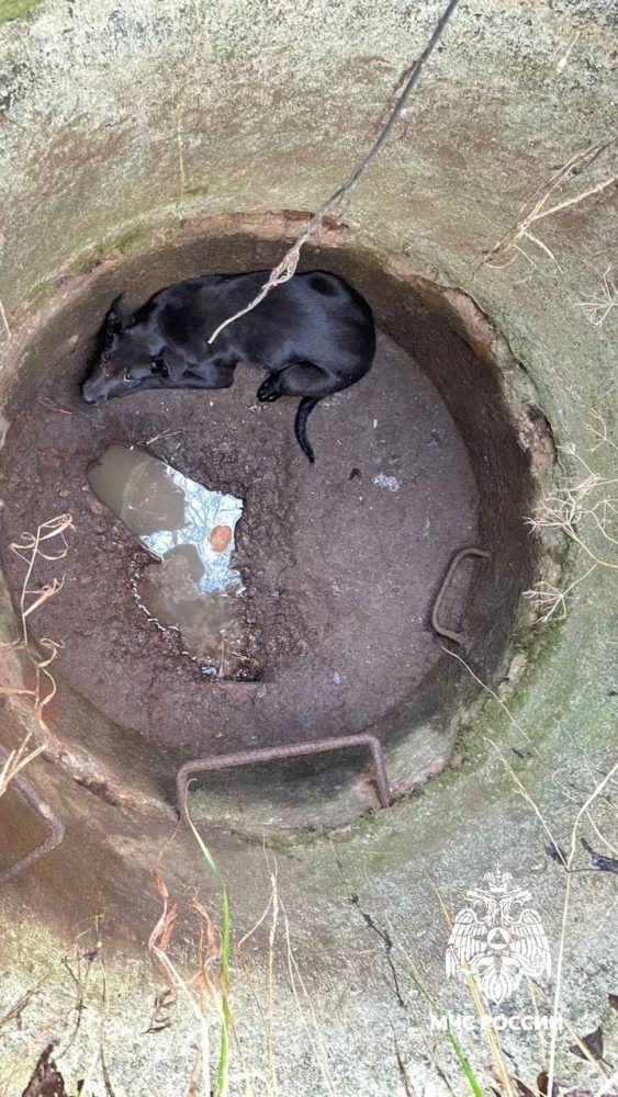 Фото: МЧС России по Тверской области