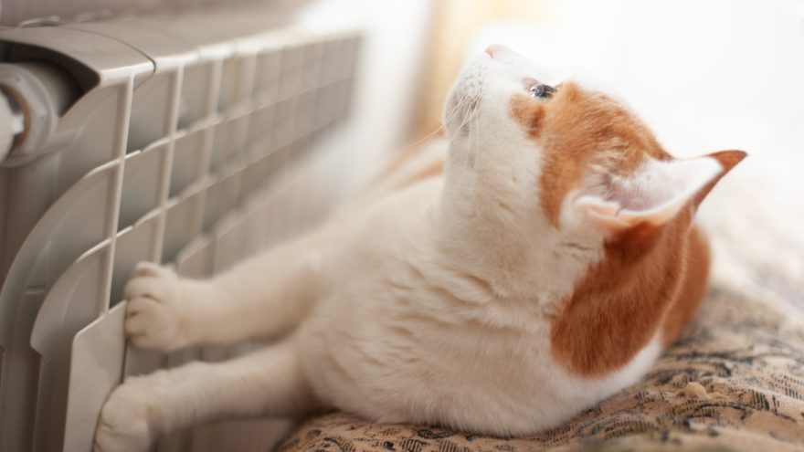 отопление, батарея