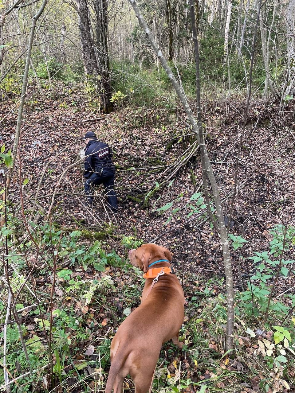Фото: ВПСО Сова Тверь и Тверская область