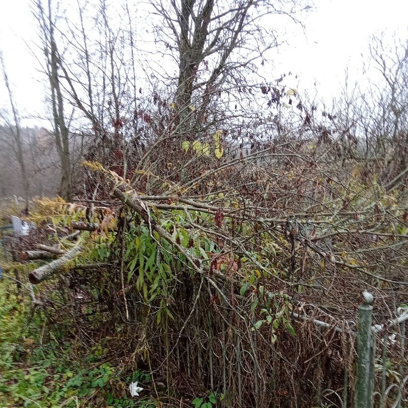 Фото: ВК-сообщество 