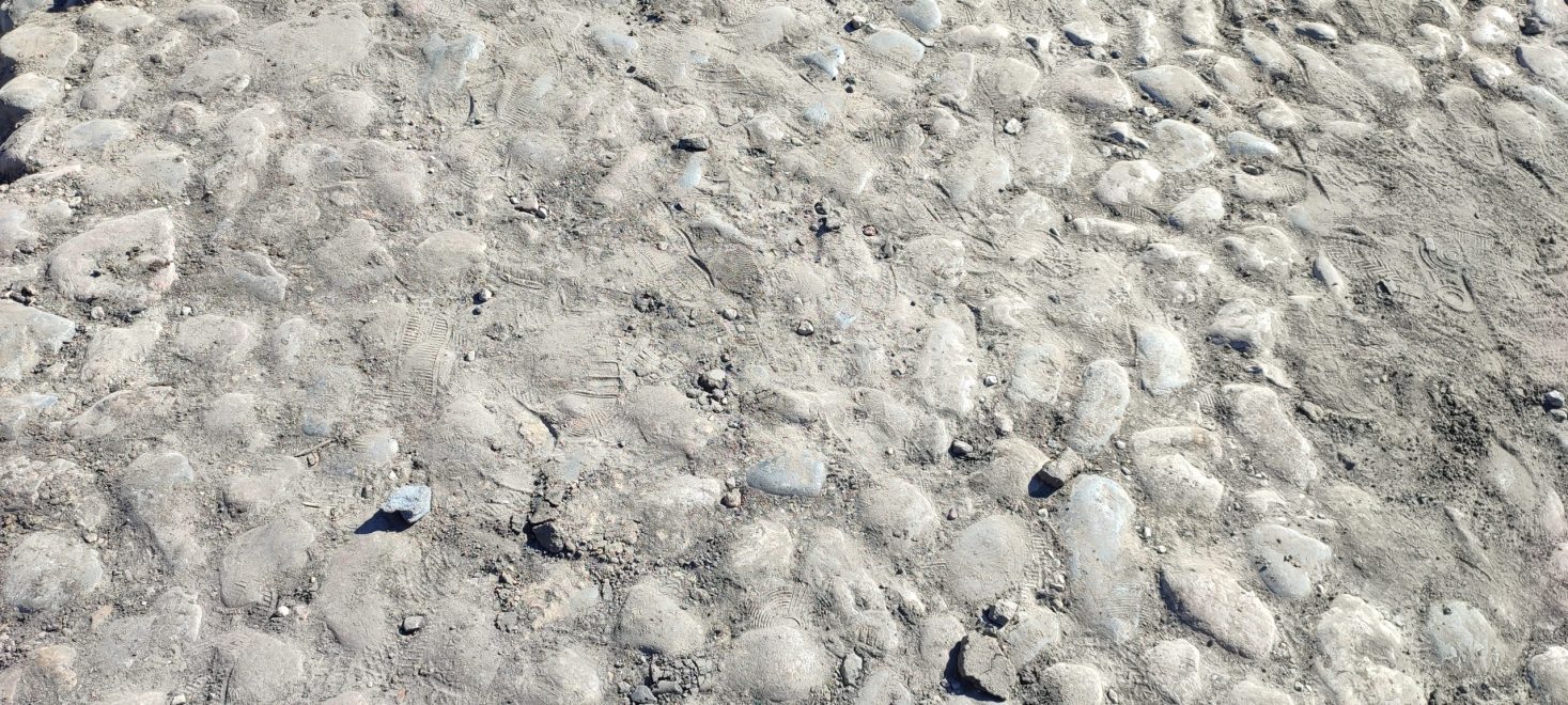 раскопки (1)