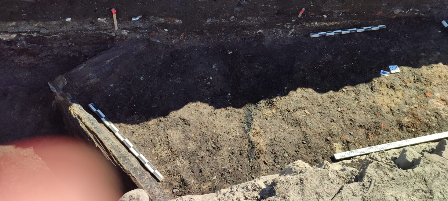 раскопки (9)