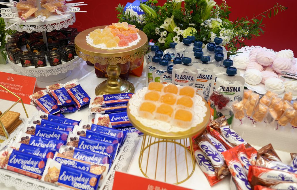 российско китайский форум (15)