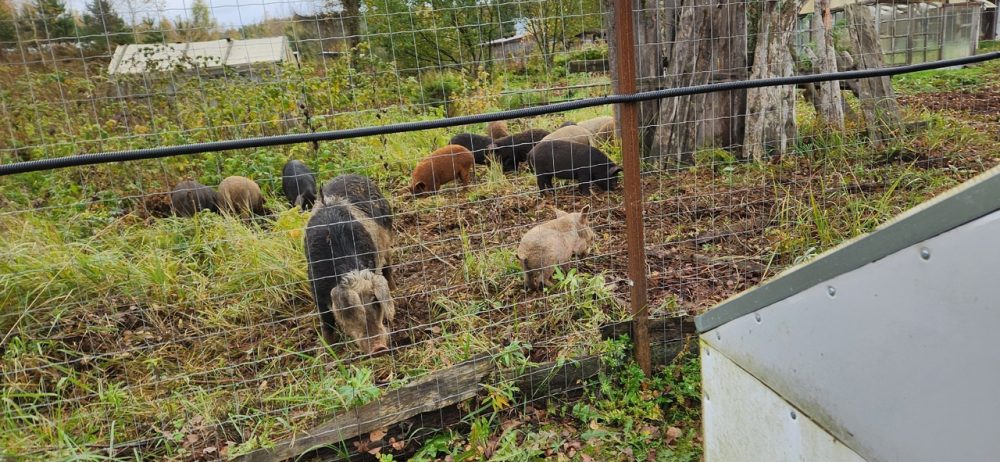 Фото: Ирина Католымова / ВК-сообщество 