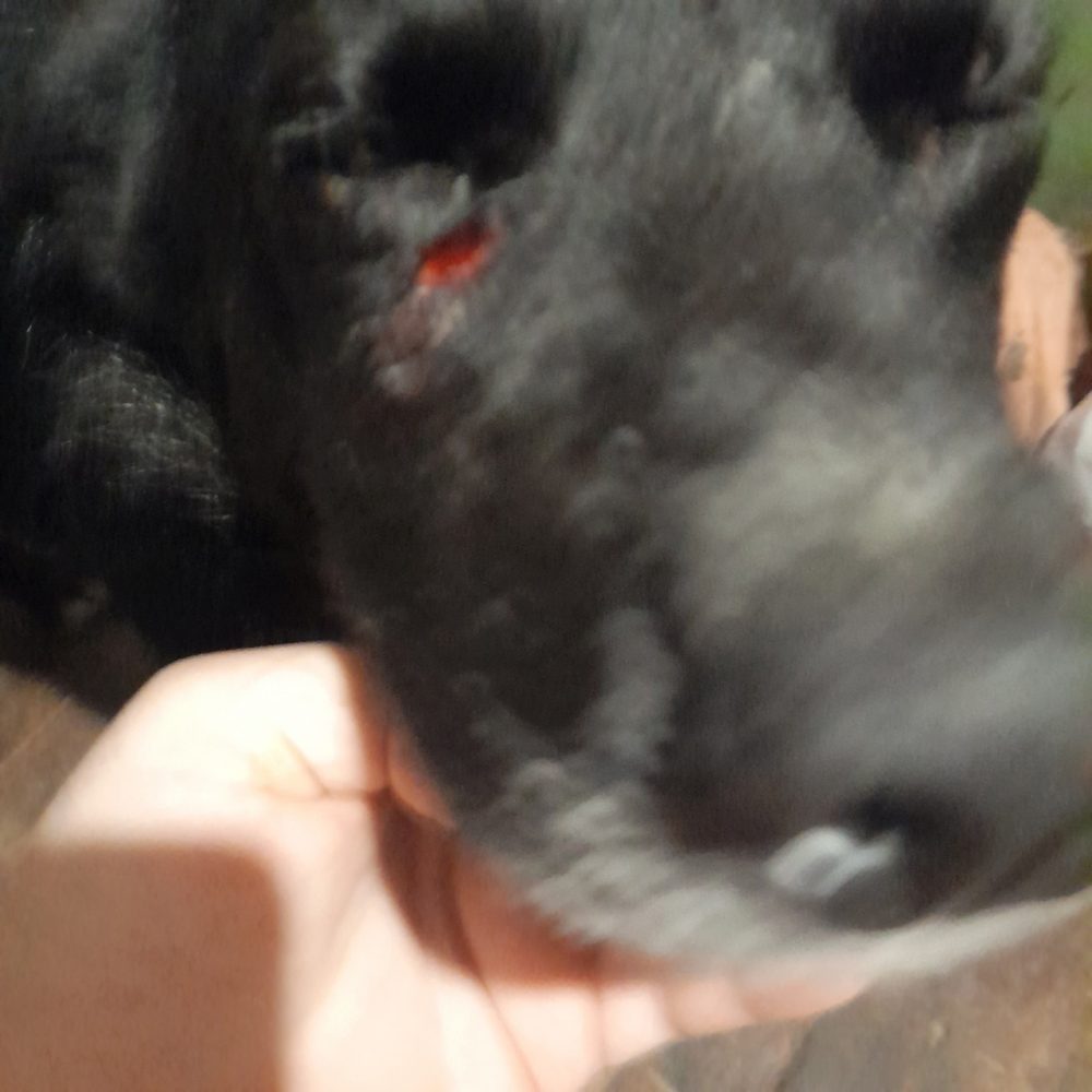 Фото: ВК-сообщество 