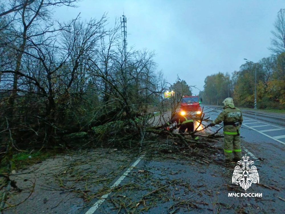 Фото: пресс-служба МЧС России по Тверской области