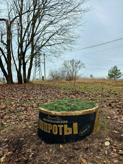 Фото: телеграм-канал Kate_HB