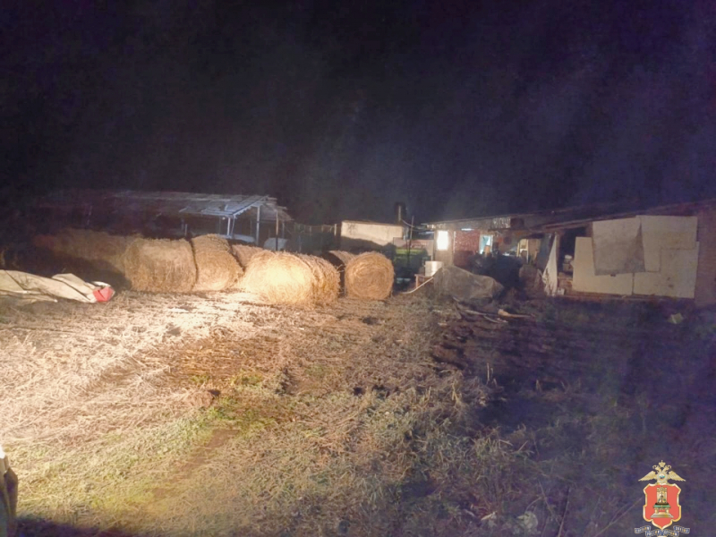 Пресс-служба УМВД России по Тверской области