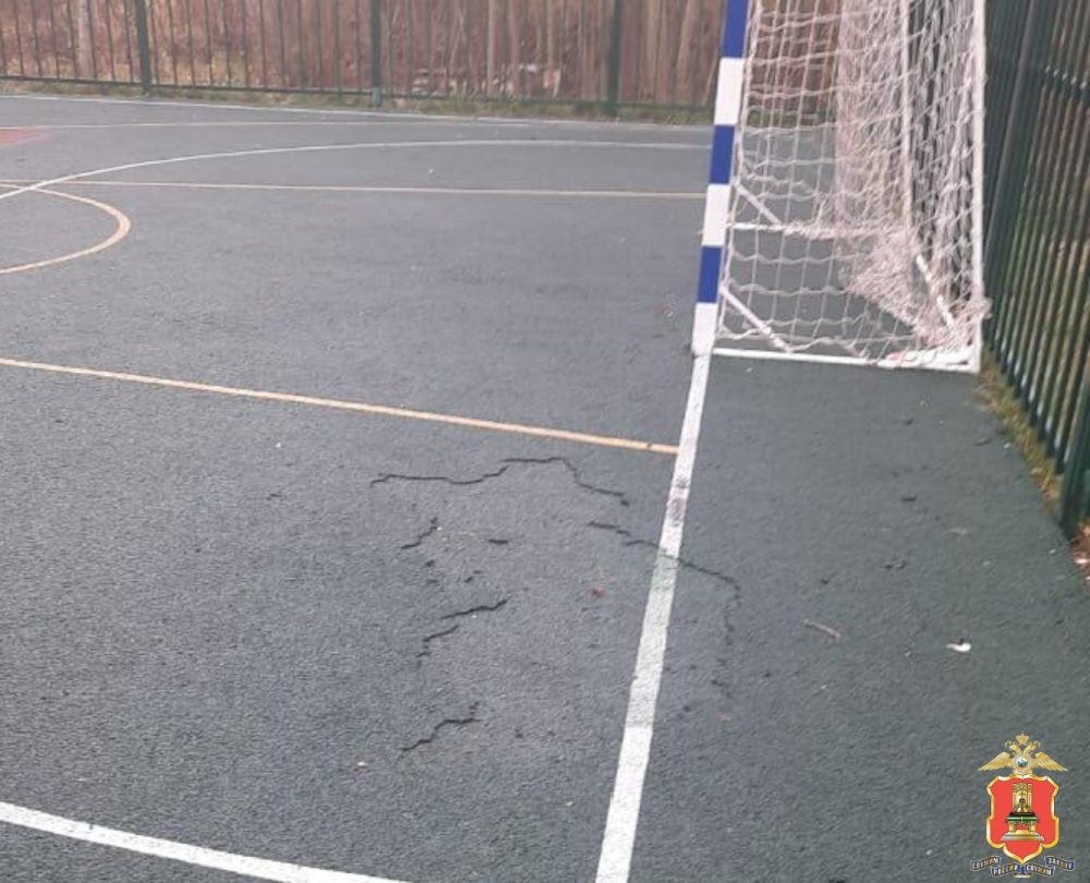 Picsart 24 11 18 10 51 14 400