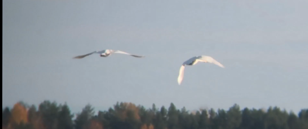 Фото: скриншот с видео/ВК-сообщество 