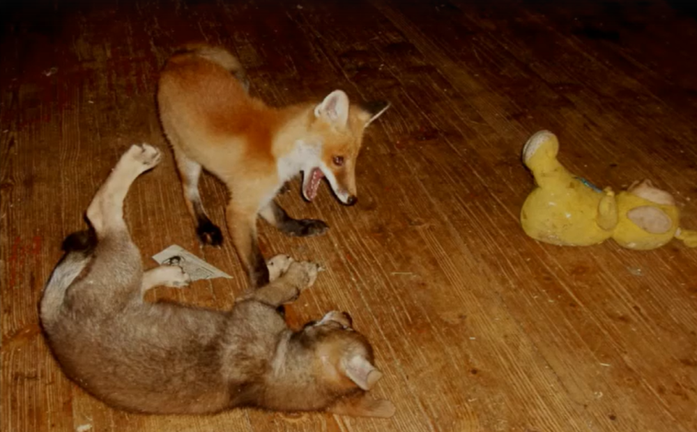 Screenshot 2024 11 29 160110