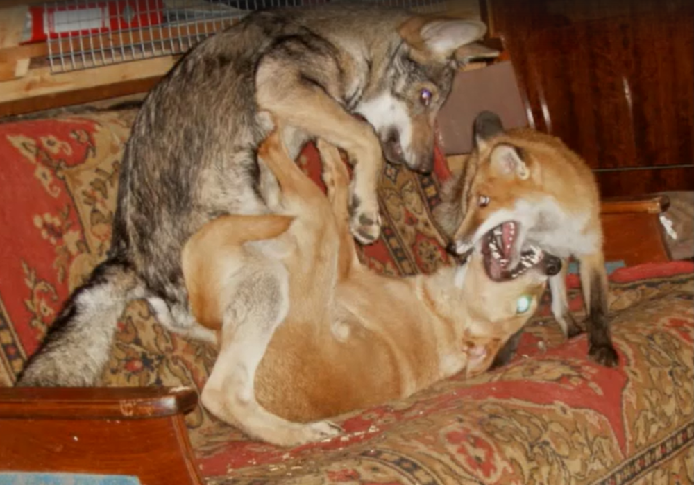 Screenshot 2024 11 29 160152