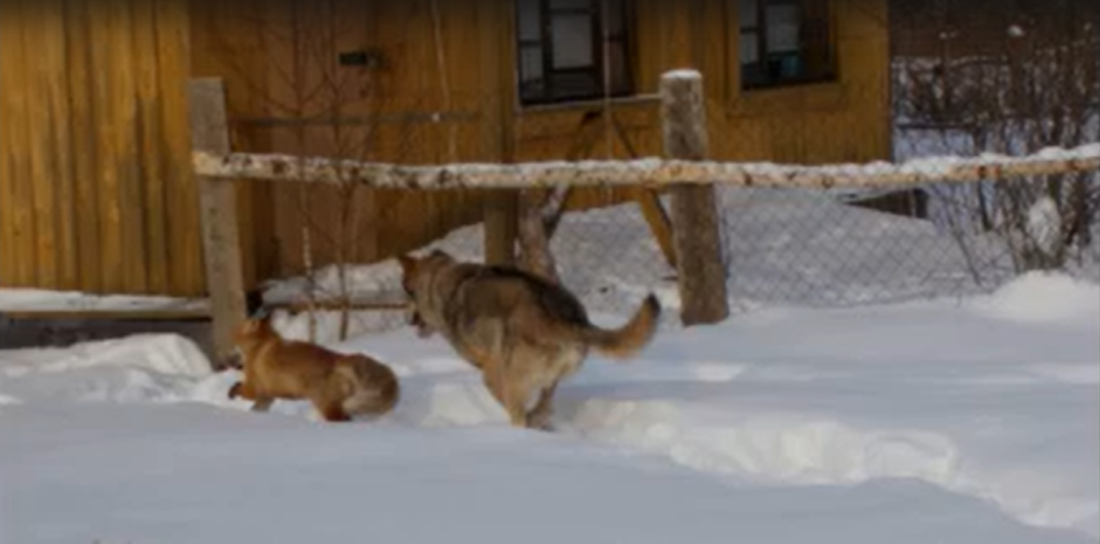 Screenshot 2024 11 29 160221