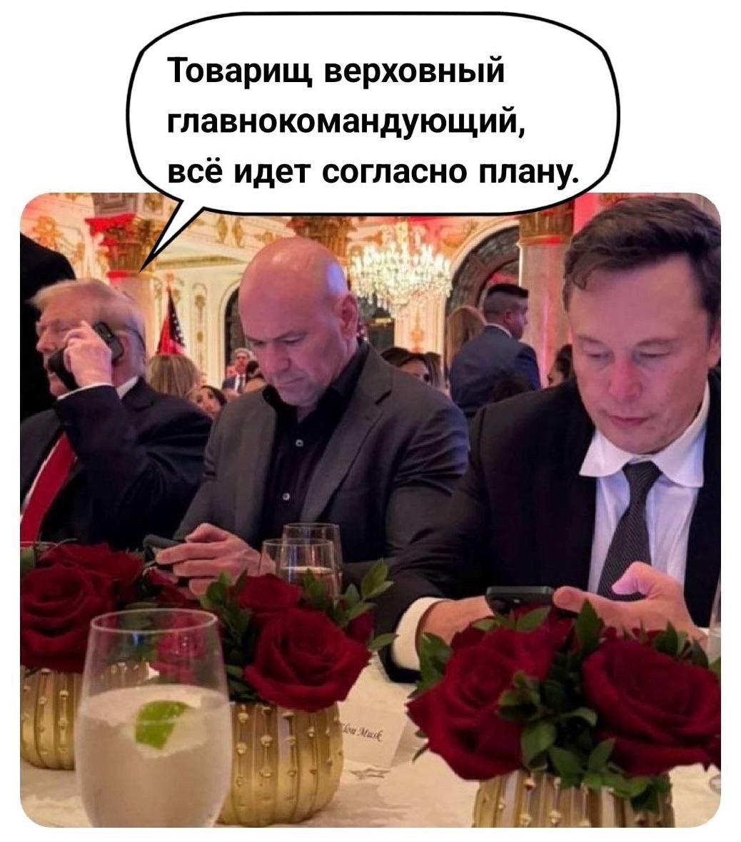 мем про выборы