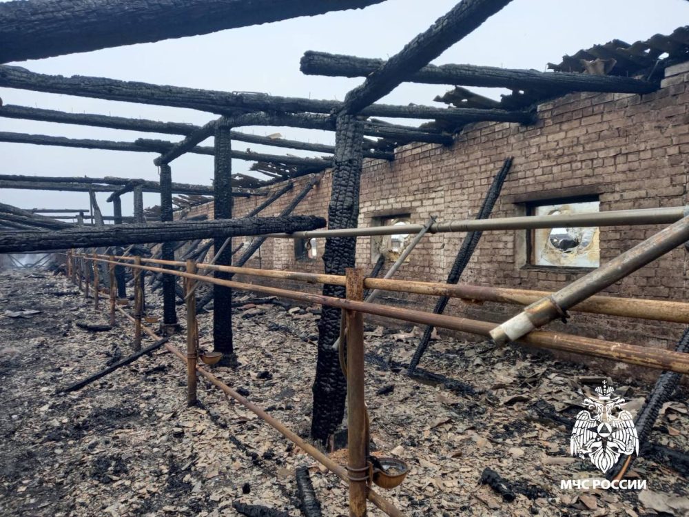 Фото: МЧС России по Тверской области