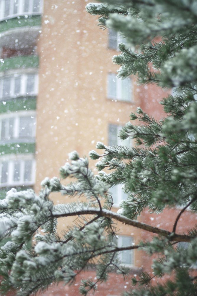снег