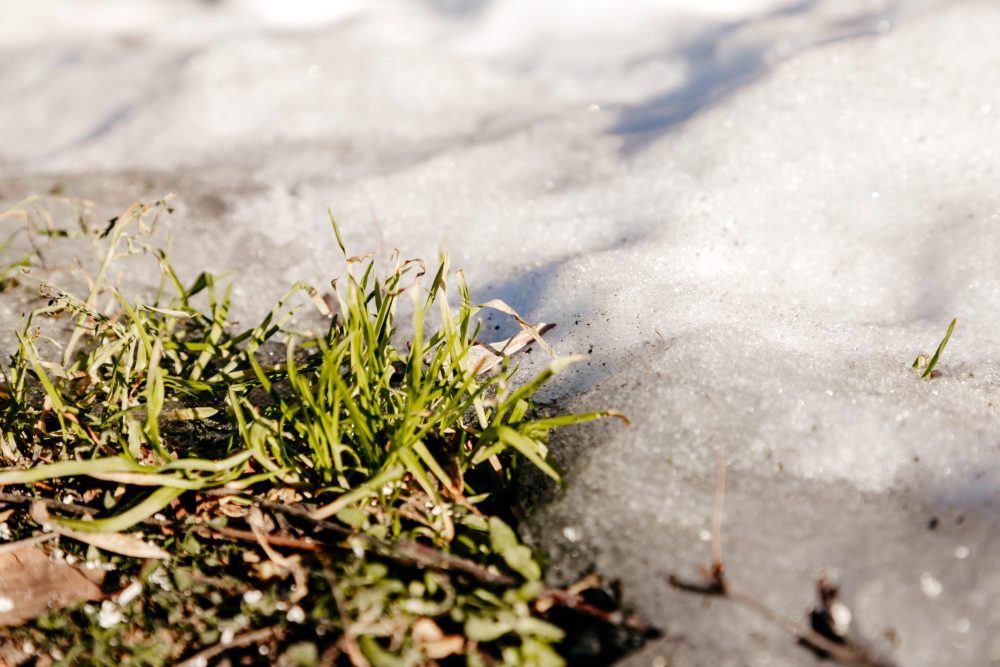 Фото: Кристина Белякова/РИА Верхневолжье