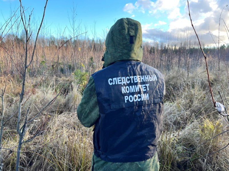 Фото: СУ СК РФ по Тверской области