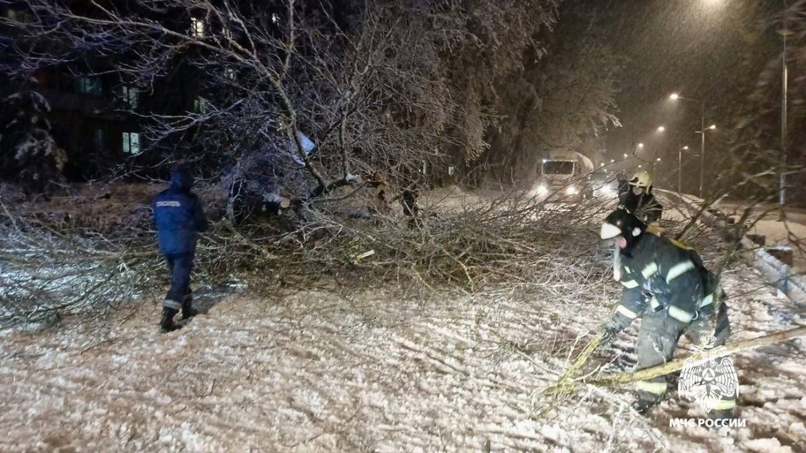 Фото: региональное МЧС