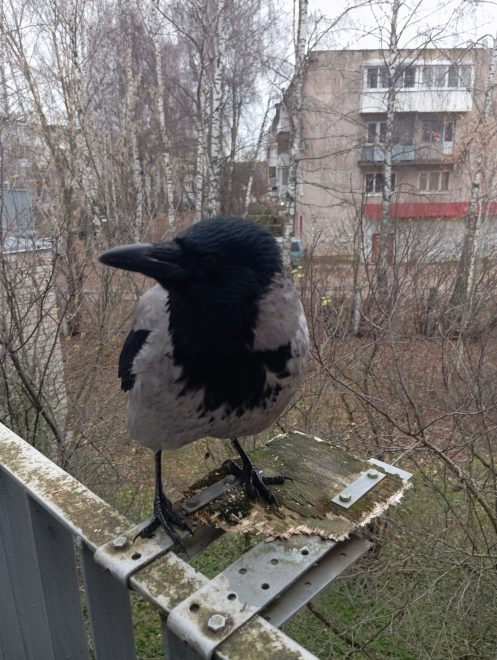 Фото: группа ВК 