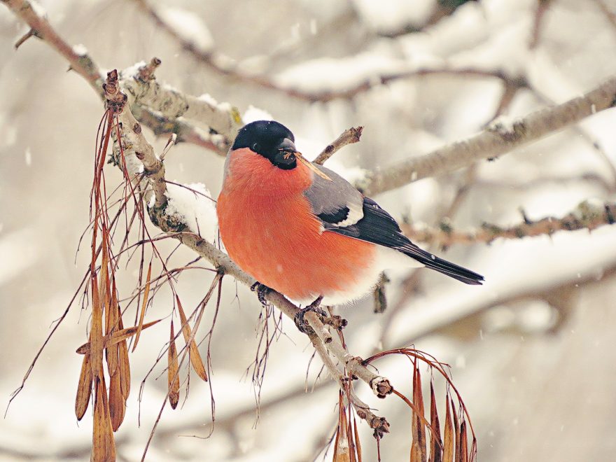 Фото: Дарья Бурмистрова Старичкова\группа 

