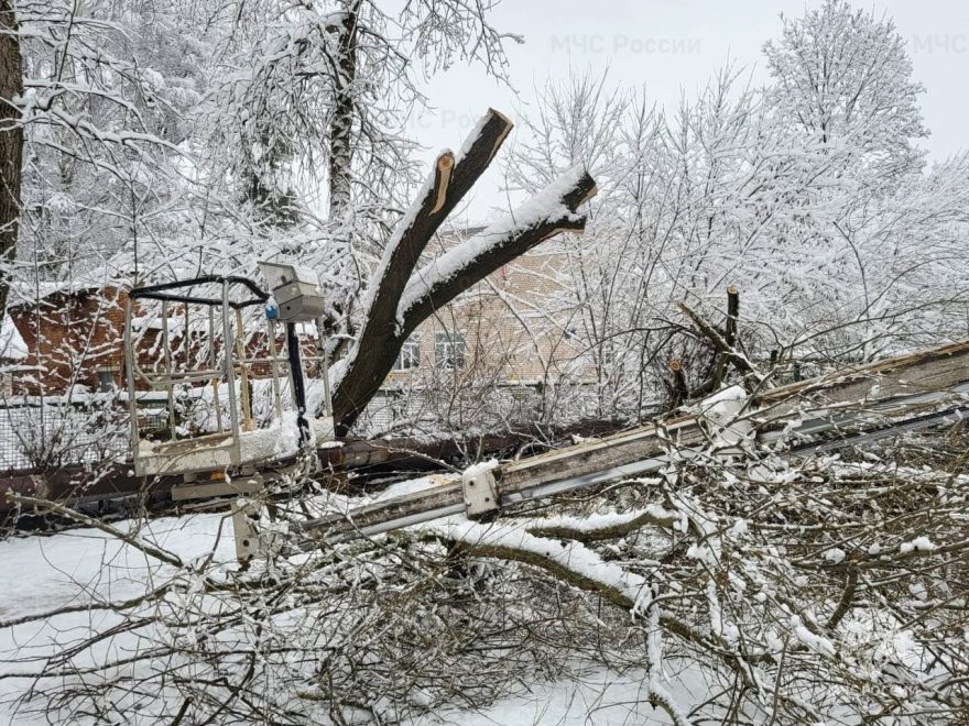 поваленные снегом деревья, циклон