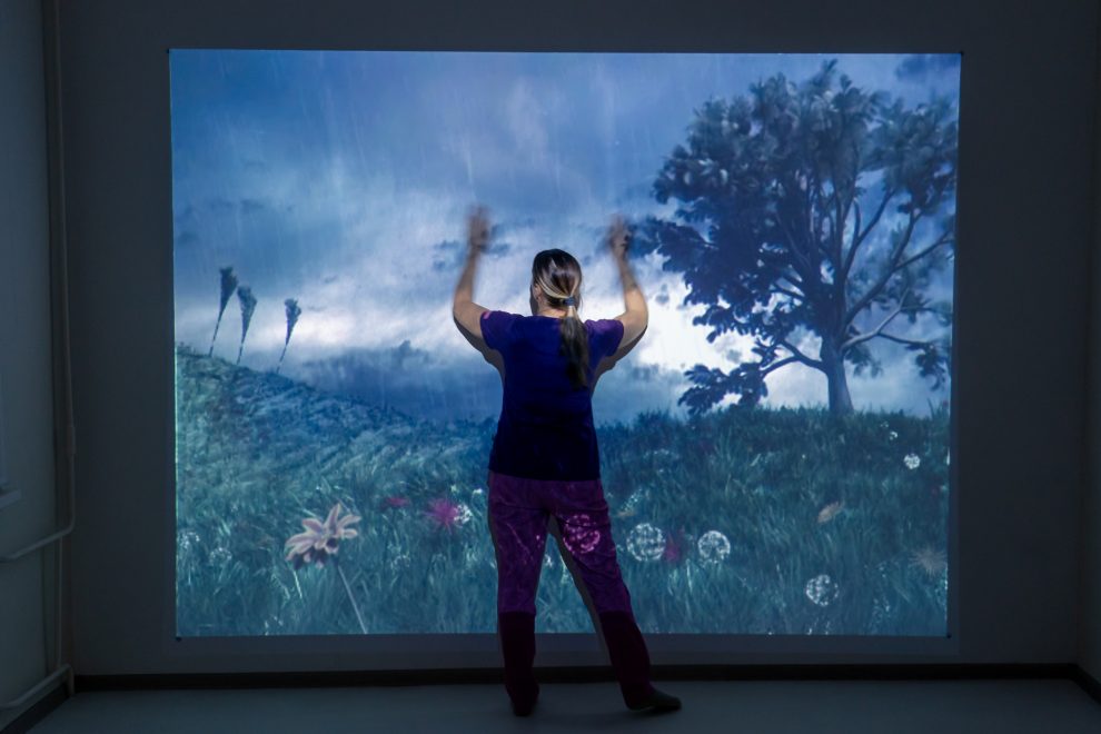 аппарат Нирвана