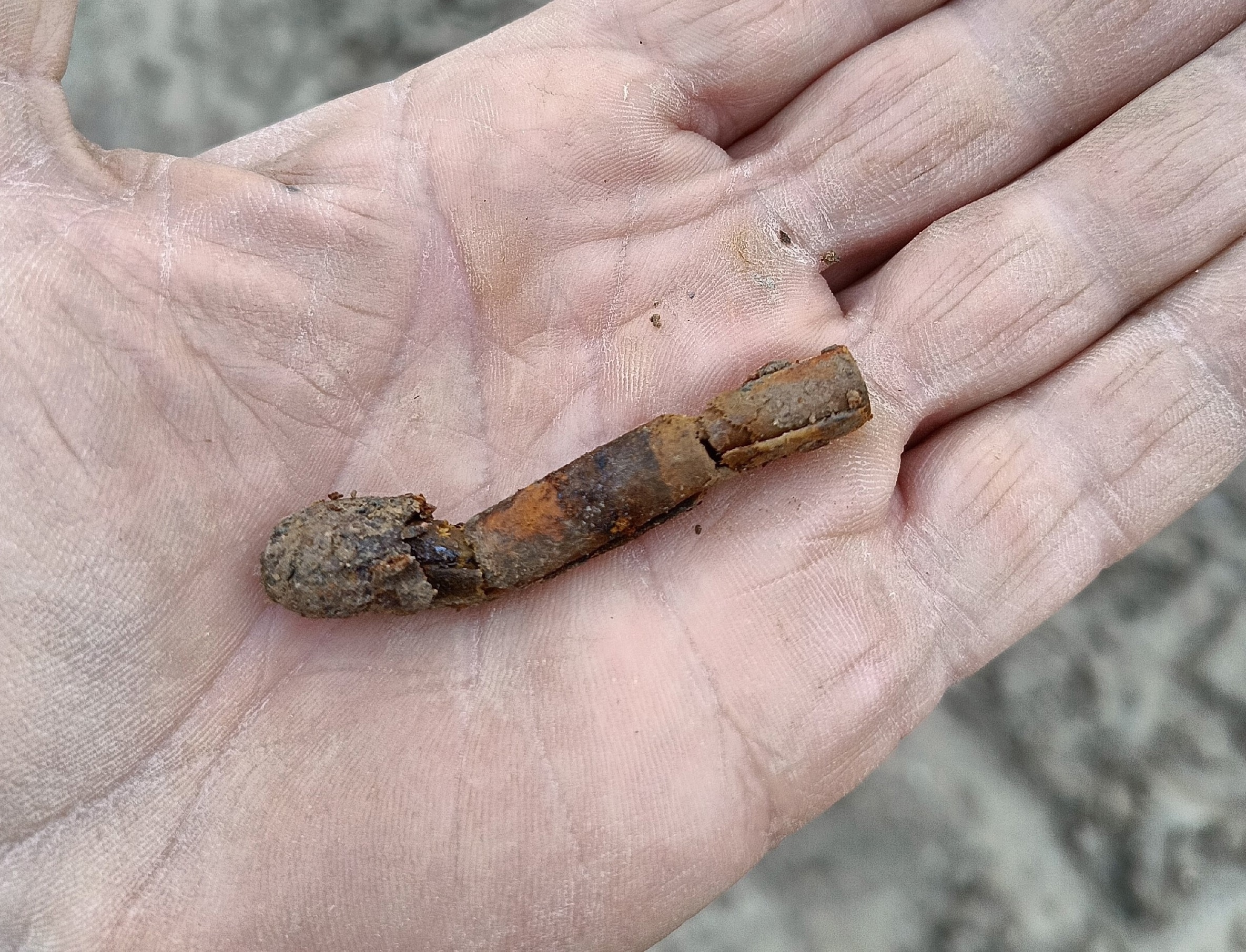 Фото: Поисковое движение России