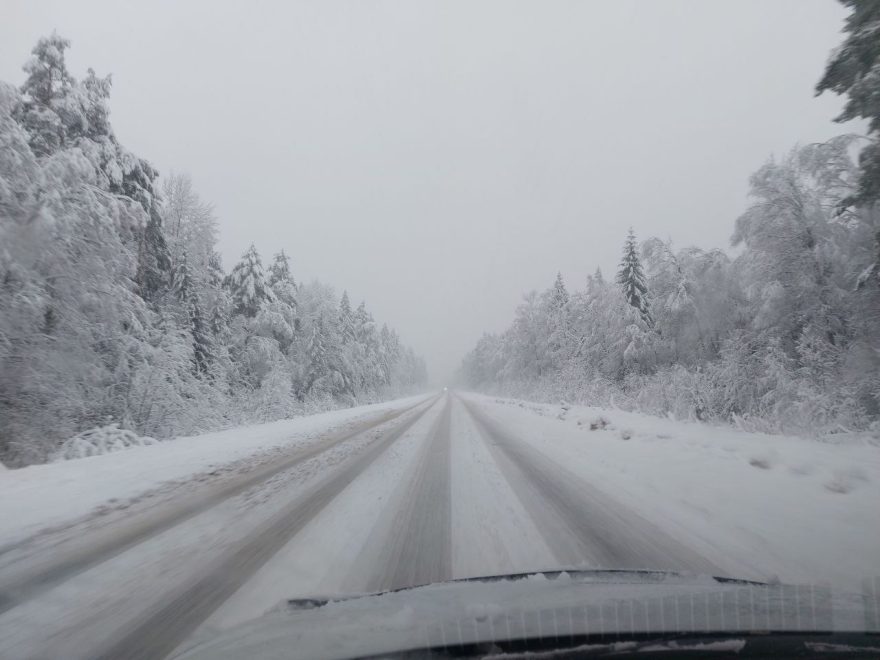 Фото: Елена Яковлева/РИА Верхневолжье