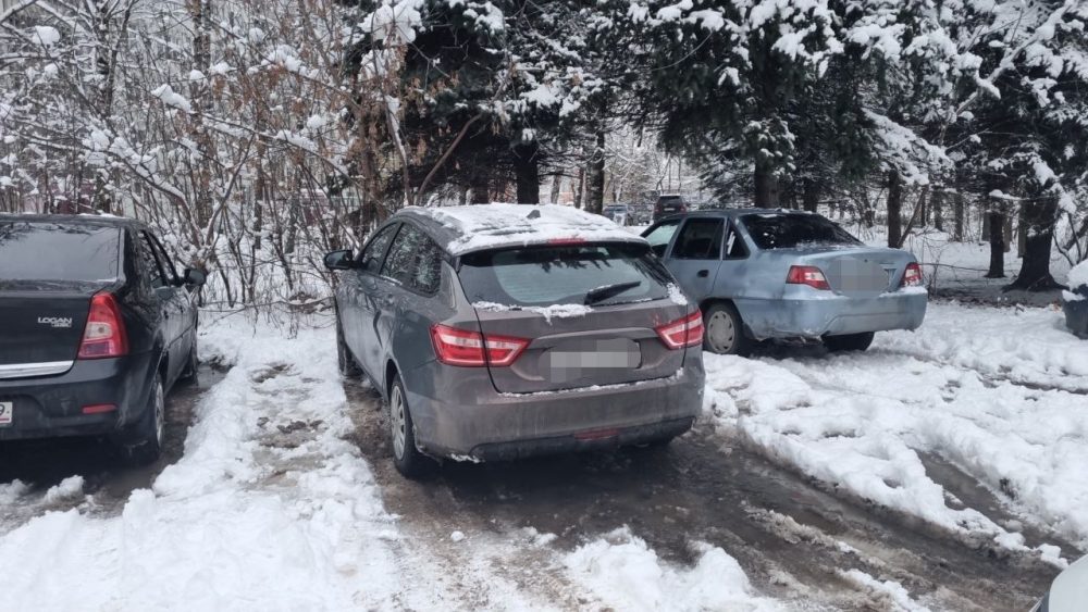 дтп виновник 24.11