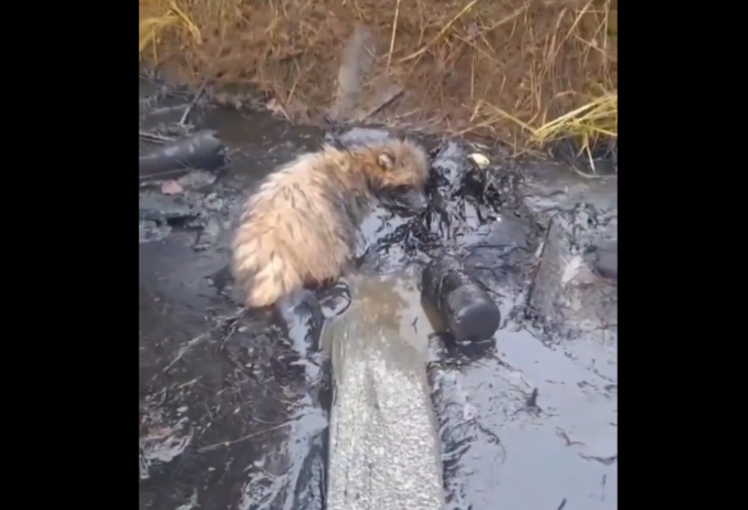 Фото: Ирина Гультяева