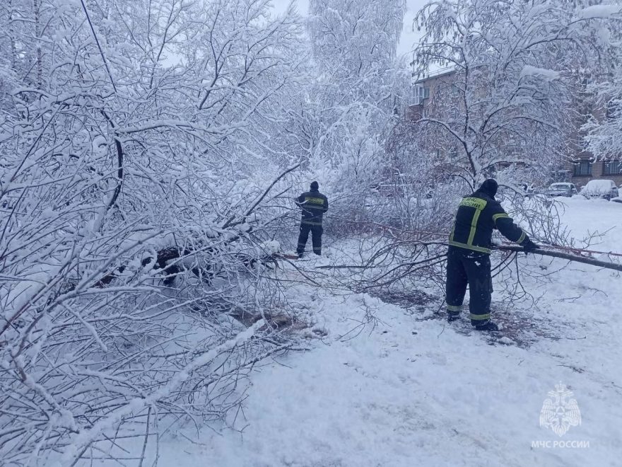 Фото: МЧС России по Тверской области