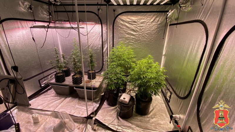 Фото: Пресс-служба УМВД России по Тверской области