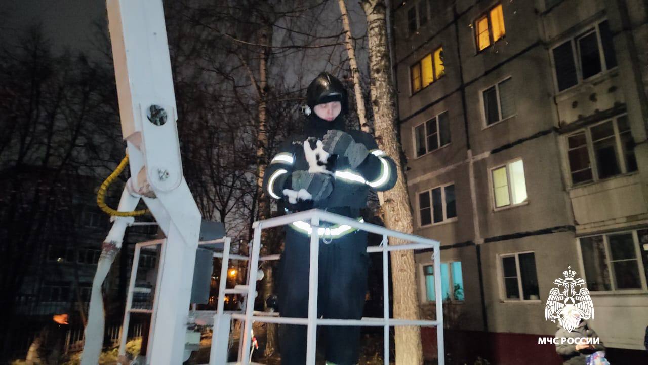 Фото: ГУ МЧС России по Тверской области