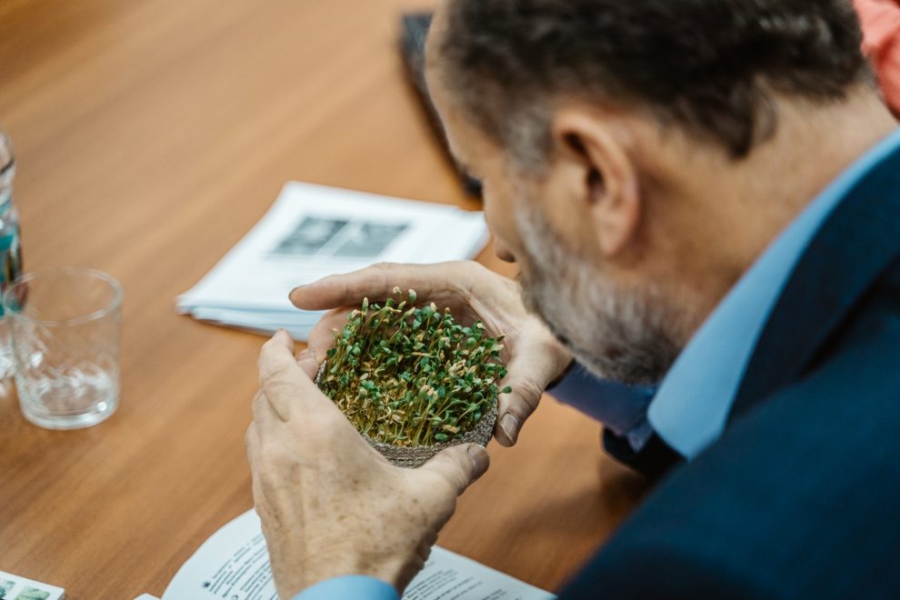 льноводы (4)