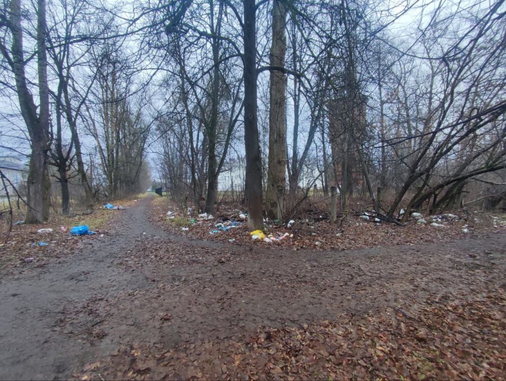 Фото: администрация Ржевского округа