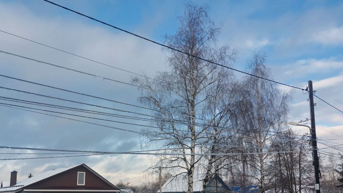 Фото: Елена Яковлева/РИА Верхневолжье