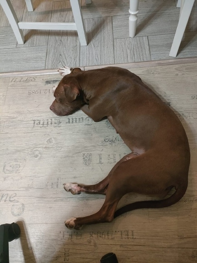 Фото: из группы 