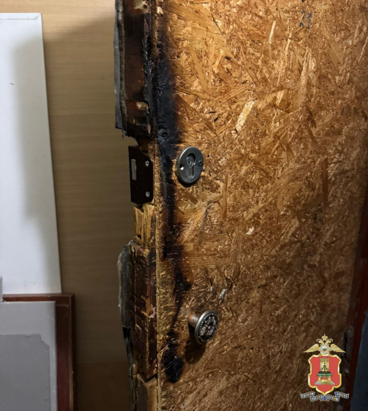 Фото: пресс-служба УМВД России по Тверской области