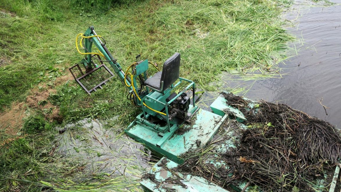 фото ирины бешимовой