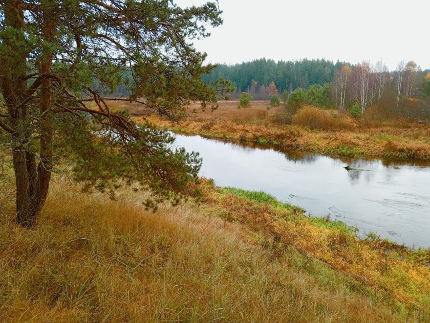 фото река торопа фото галины павловой