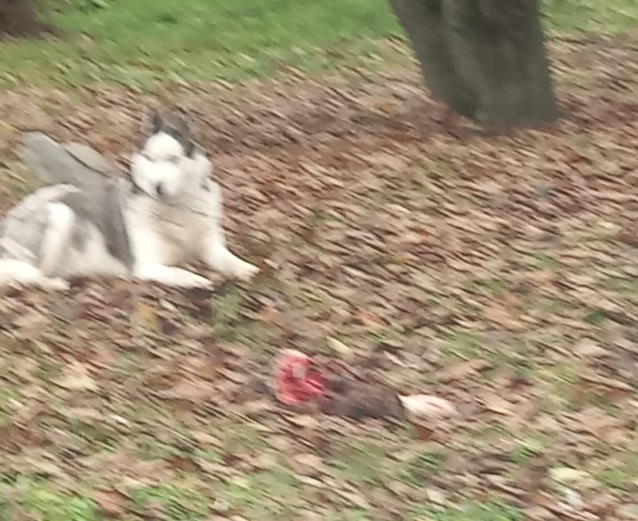 Фото: группа ВК 