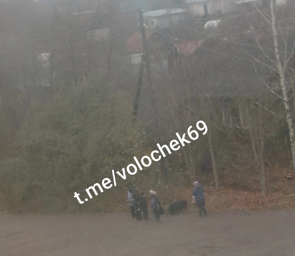 Фото: телеграм-канал 