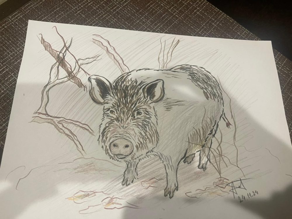 Фото: ВК-сообщество 