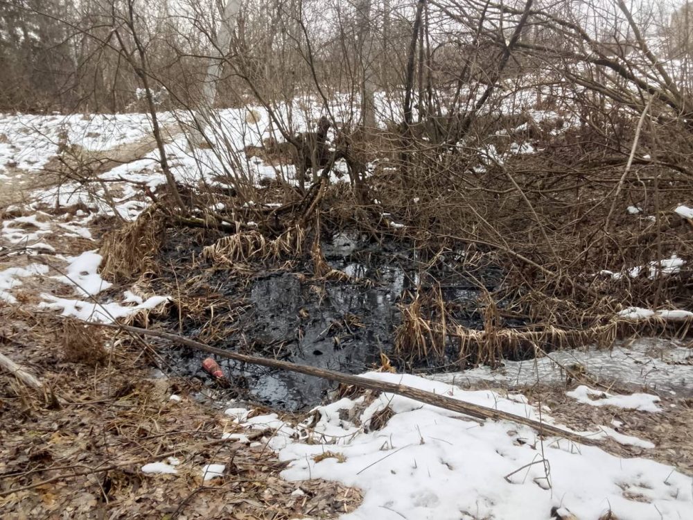 Фото: прокуратура Тверской области